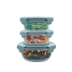 3IN1 GLASSLOCK FOOD STORAGE - ECOGS631RD/BG