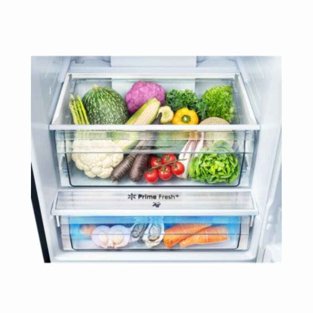 422L 2-Door Bottom Freezer Fridge / Refrigerator White Glass Door NR-BX421WGWM - Image 5