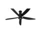 60" 5-Blade DC Motor Ceiling Fan with ECONAVI