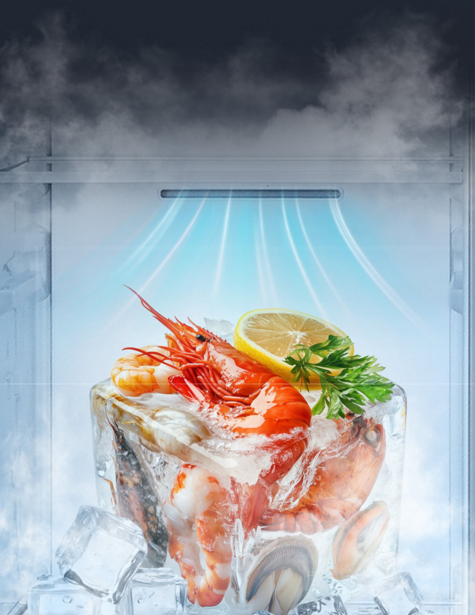 Hisense super freeze function frozen food freshness