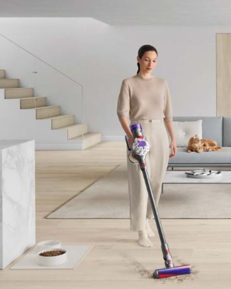 Dyson V8 Absolute (Silver/Nickel)