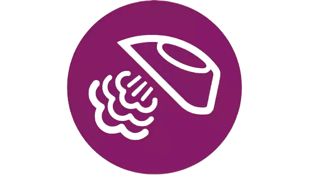 Lightweight compact steamer icon