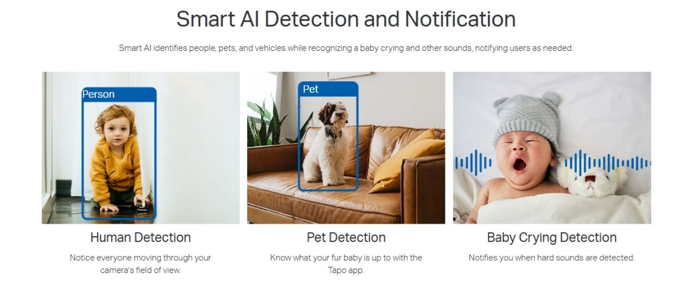 Smart AI detects people pets and baby crying sounds