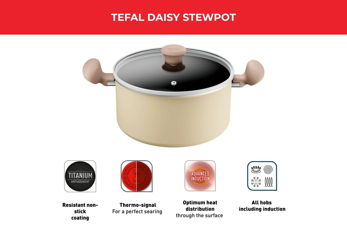 Tefal Daisy stewpot with non-stick coating and lid