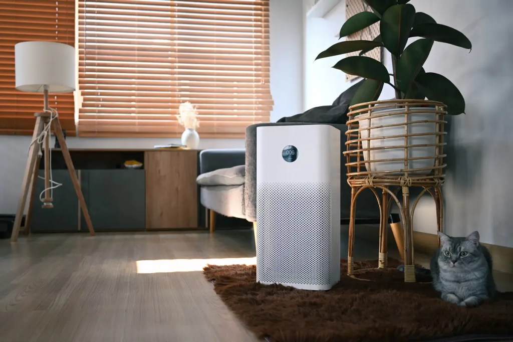 Is a Sharp Air Purifier Worth It in Malaysia? A guide to indoor air quality and finding the best air purifier.