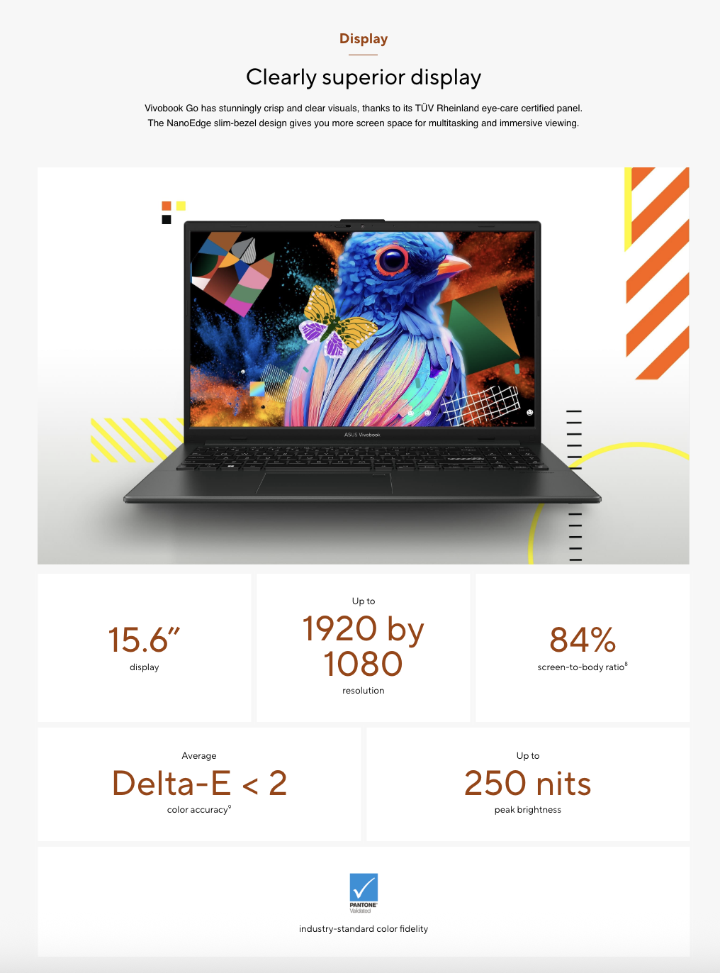 Close-up of Asus Vivobook Go 15 15.6-inch NanoEdge display with vivid colour