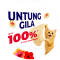 Untung Gila