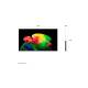 LG OLED AI B6 4K Smart TV (2026) 55 inch - Size