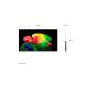 LG OLED AI B6 4K Smart TV (2026) 83 inch - Size