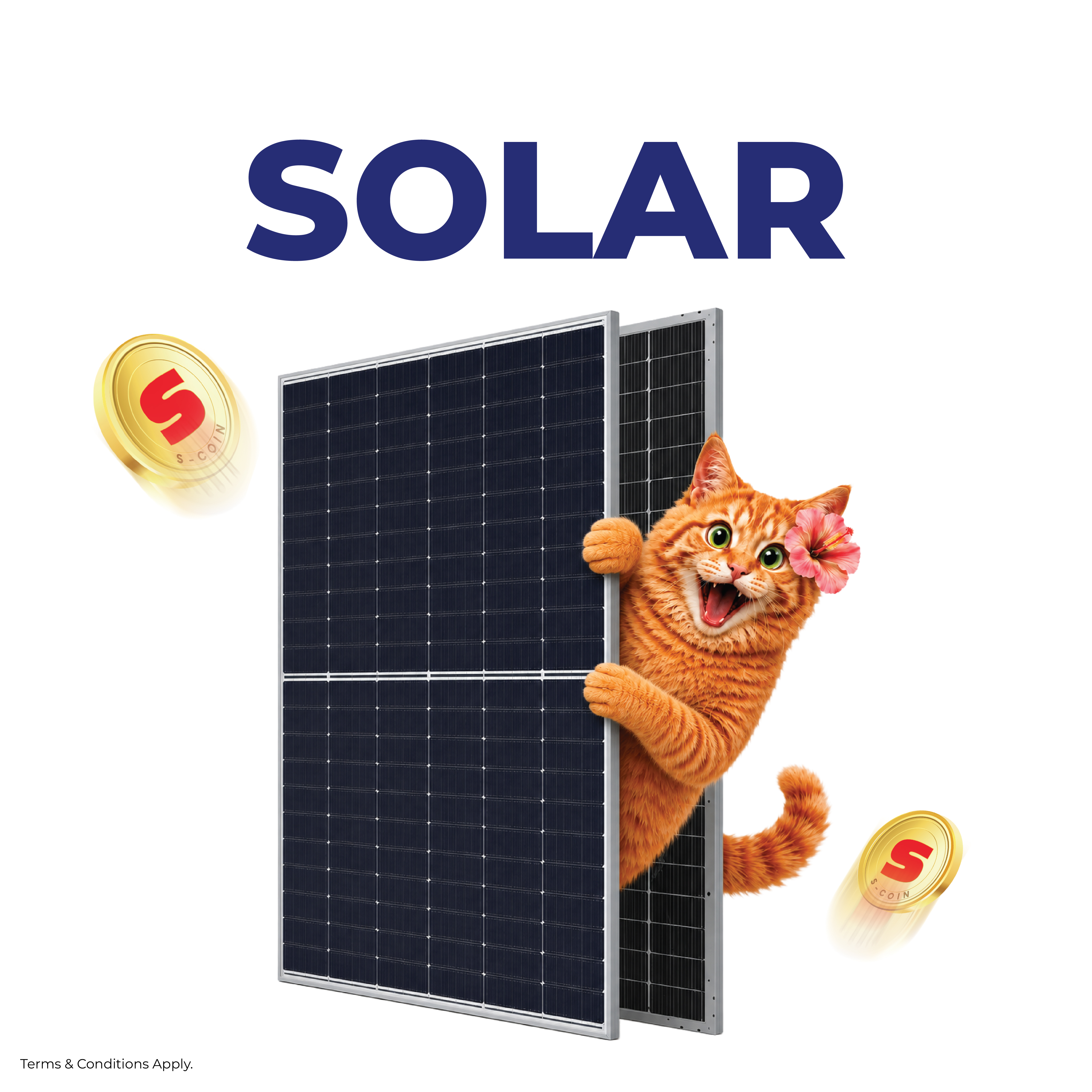 Untung Gila 20% Solar